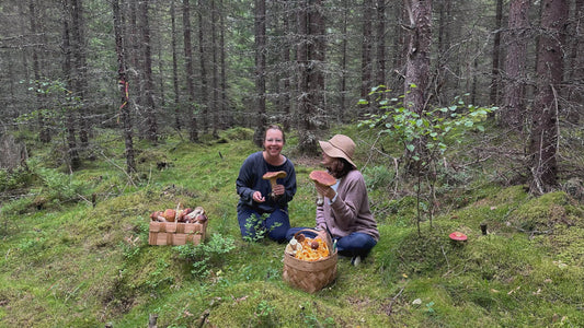 Herkkutatti: The Finnish Porcini I Learned to Recognize