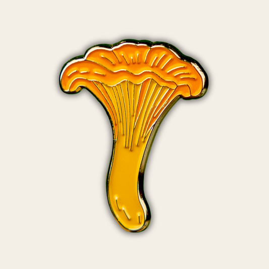 Kantarellipinssi